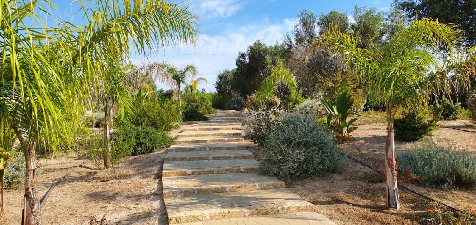 Agriturismo Tenuta Don Giovanni Melendugno Bagian luar foto