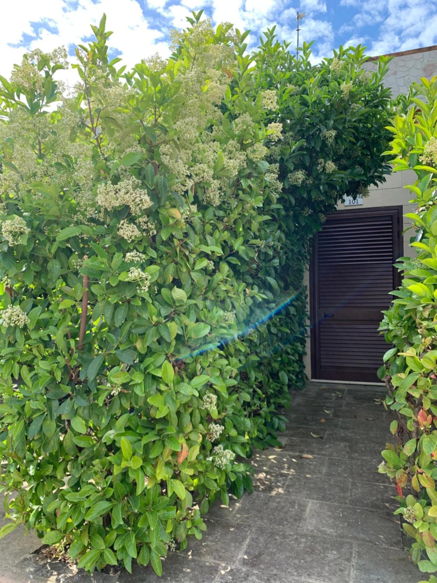 Agriturismo Tenuta Don Giovanni Melendugno Bagian luar foto